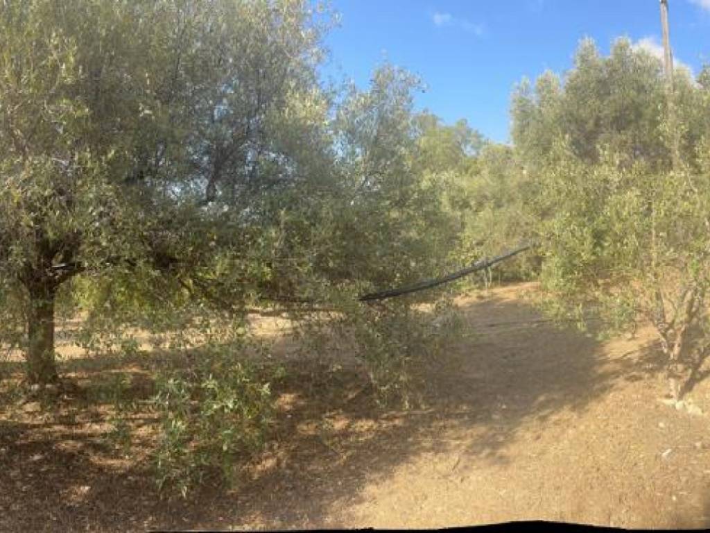 Terreno a Melito di porto salvo in Giachindi-Placanica - Foto 5