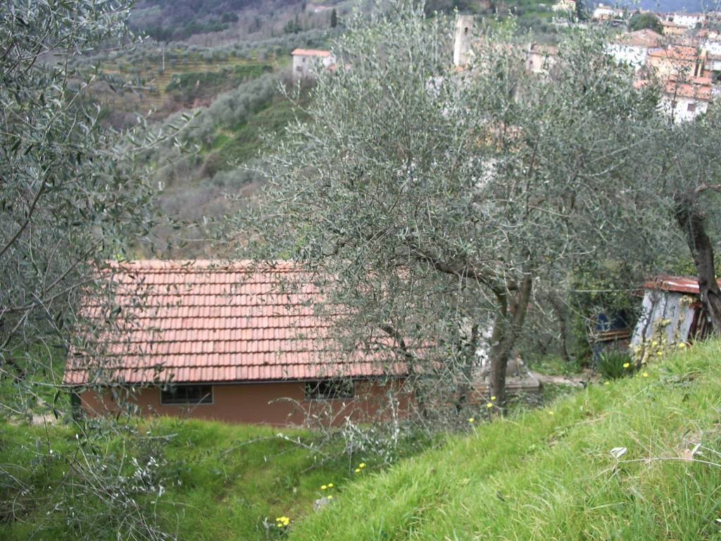 Terreno a Lucca in Via della Chiesa di Piazzano - Foto 2