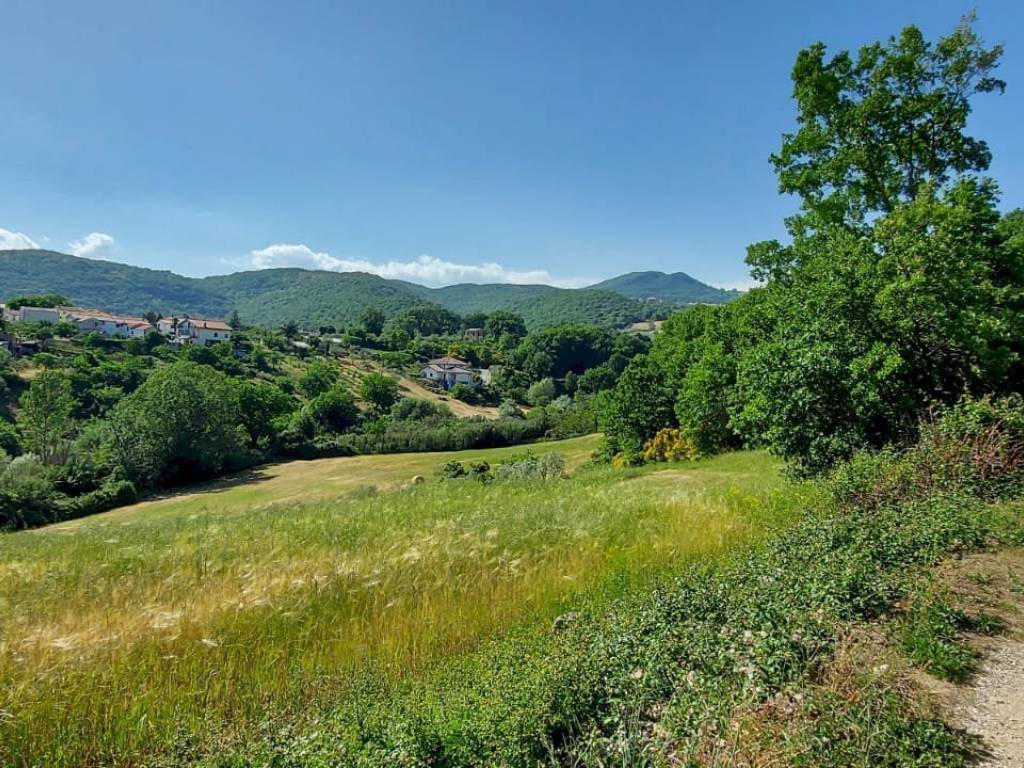 Terreno a Isernia in C.da Salietto - Foto 2