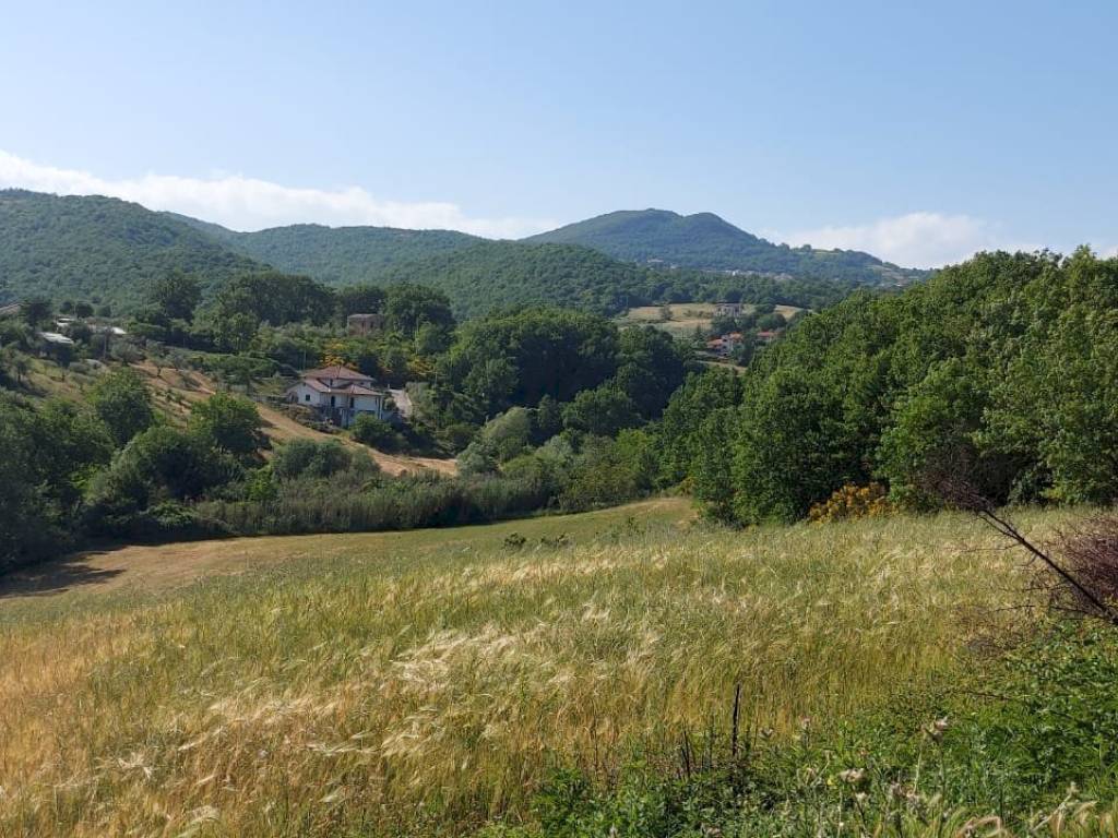 Terreno a Isernia in C.da Salietto - Foto 4