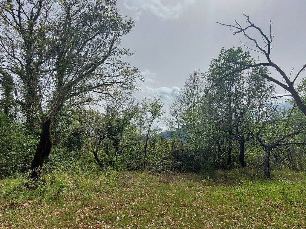 Terreno a Fornelli in C.da Venditti - Foto 5