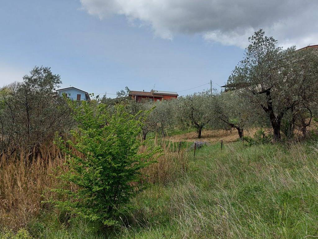 Terreno a Fornelli in C.da Madonna delle Grazie - Foto 4