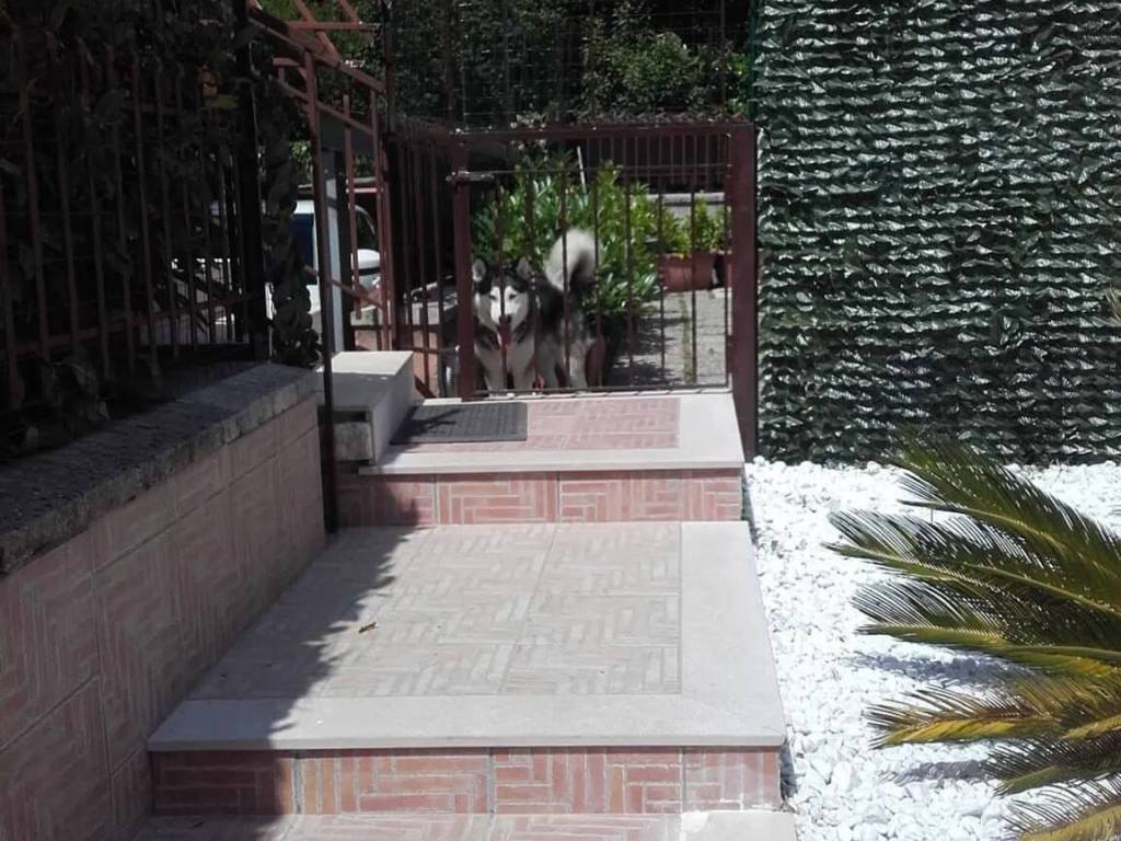 Villa a Monteforte irpino in Strada Vicinale Torone, 4 - Foto 2