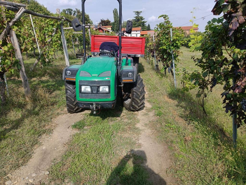 Terreno a Cavaglià in Via Ivrea - Foto 2