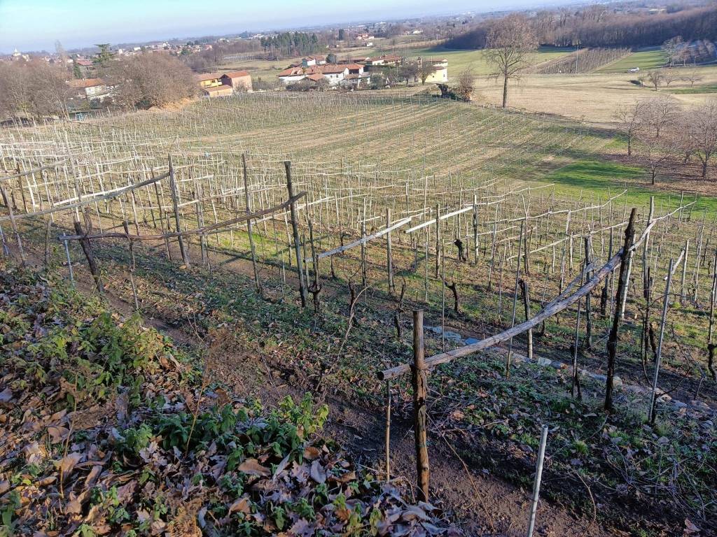 Terreno a Cavaglià in Via Ivrea - Foto 3