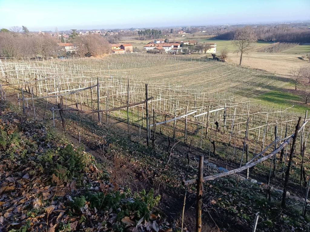 Terreno a Cavaglià in Via Ivrea - Foto 4