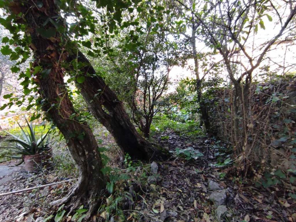 Appartamento a Lerici - Foto 4