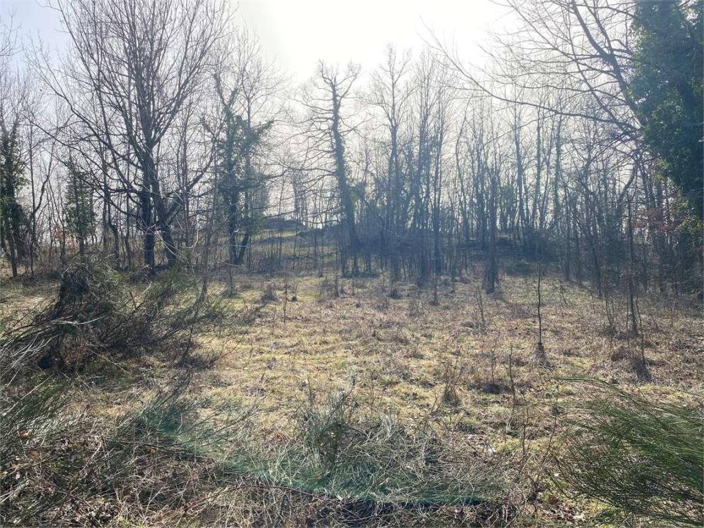 Terreno a Montecrestese in Frazione Cardone, snc - Foto 2