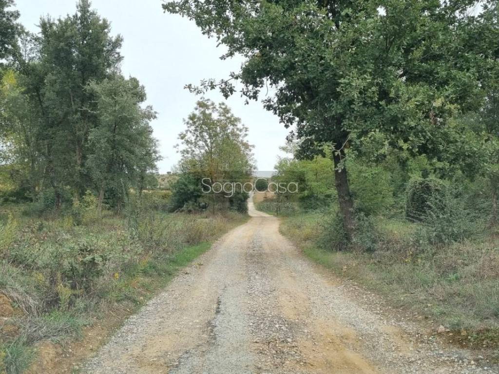 Rustico / casale a Magliano in toscana in via provinciale - Foto 4