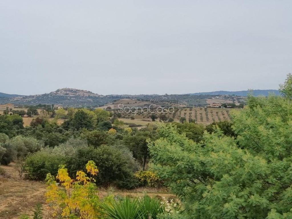 Rustico / casale a Magliano in toscana in via provinciale - Foto 5