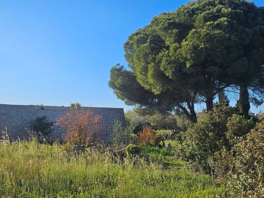 Rustico / casale a Salve in VIA DELLA GINESTRA - Foto 3