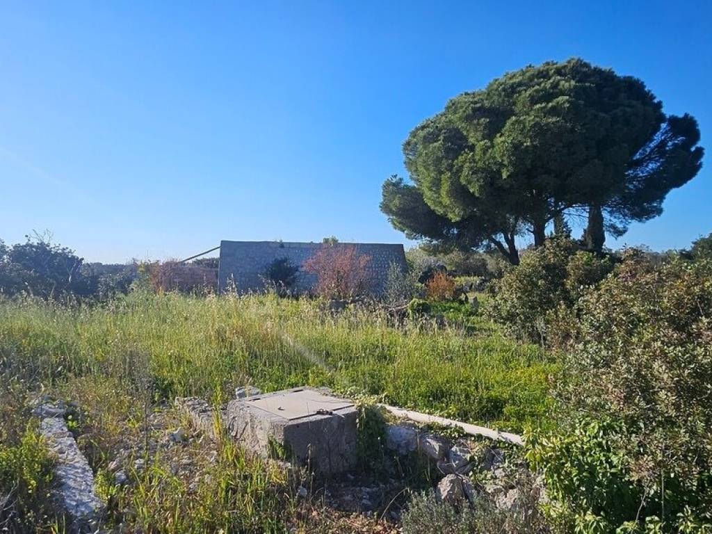 Rustico / casale a Salve in VIA DELLA GINESTRA - Foto 4