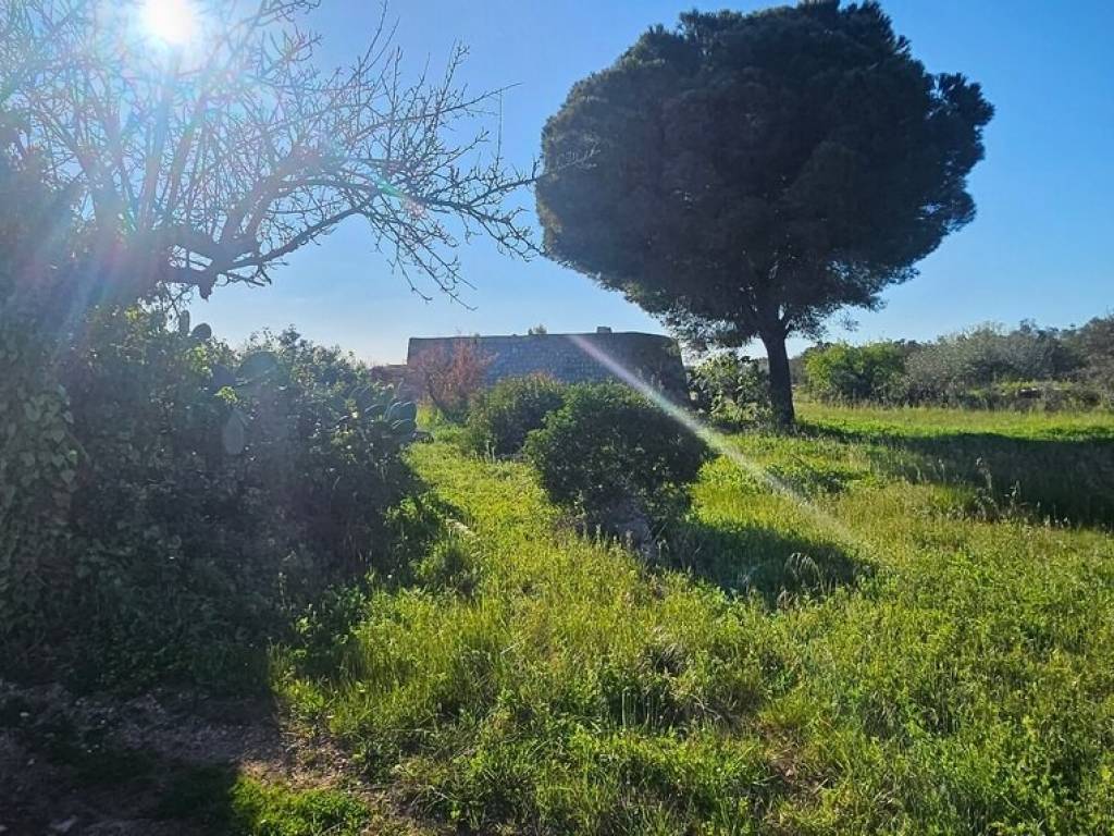 Rustico / casale a Salve in VIA DELLA GINESTRA - Foto 5