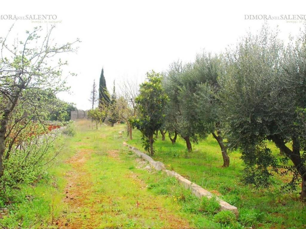 Casa indipendente a Salve in VIA DELLA GINESTRA - Foto 2