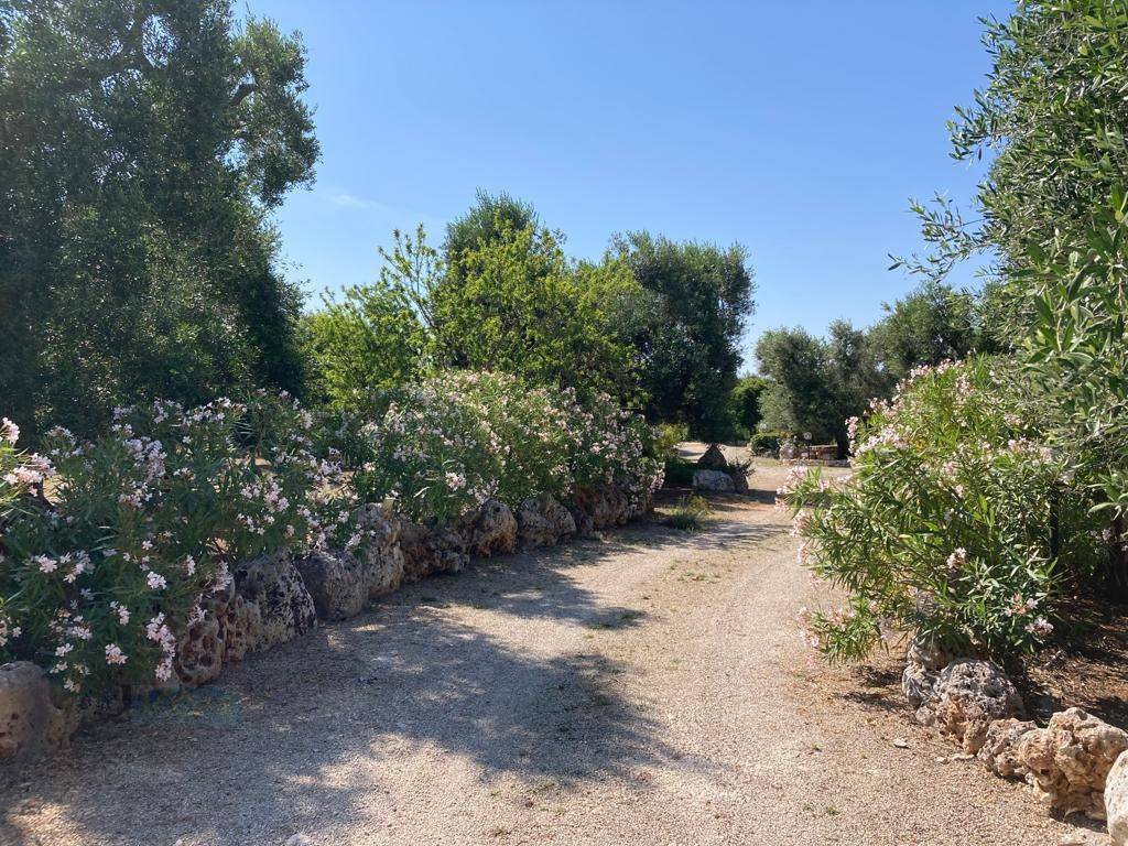 Rustico / casale a Ceglie messapica in contrada Genovese - Foto 2