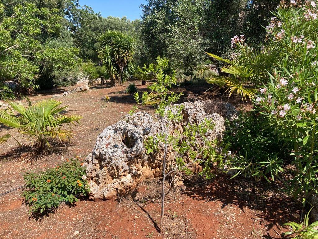 Rustico / casale a Ceglie messapica in contrada Genovese - Foto 3