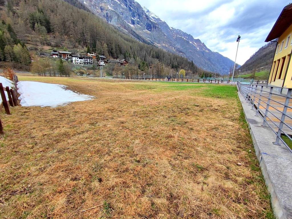 Terreno a Valsavarenche - Foto 5