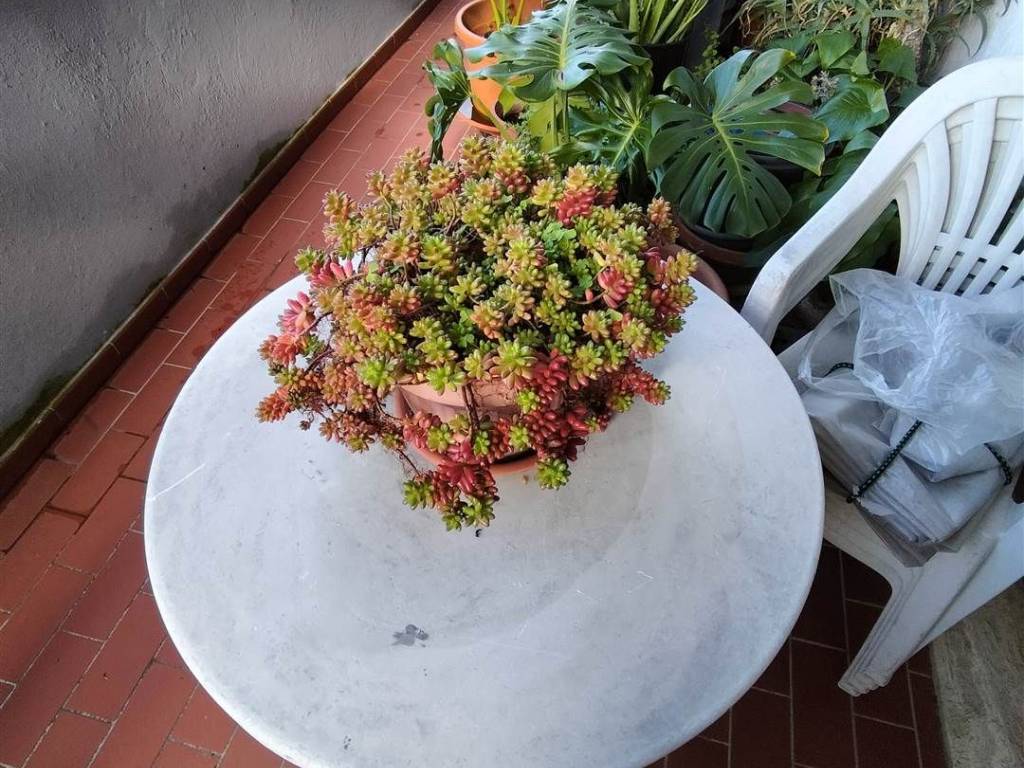 Appartamento a Pistoia - Foto 5