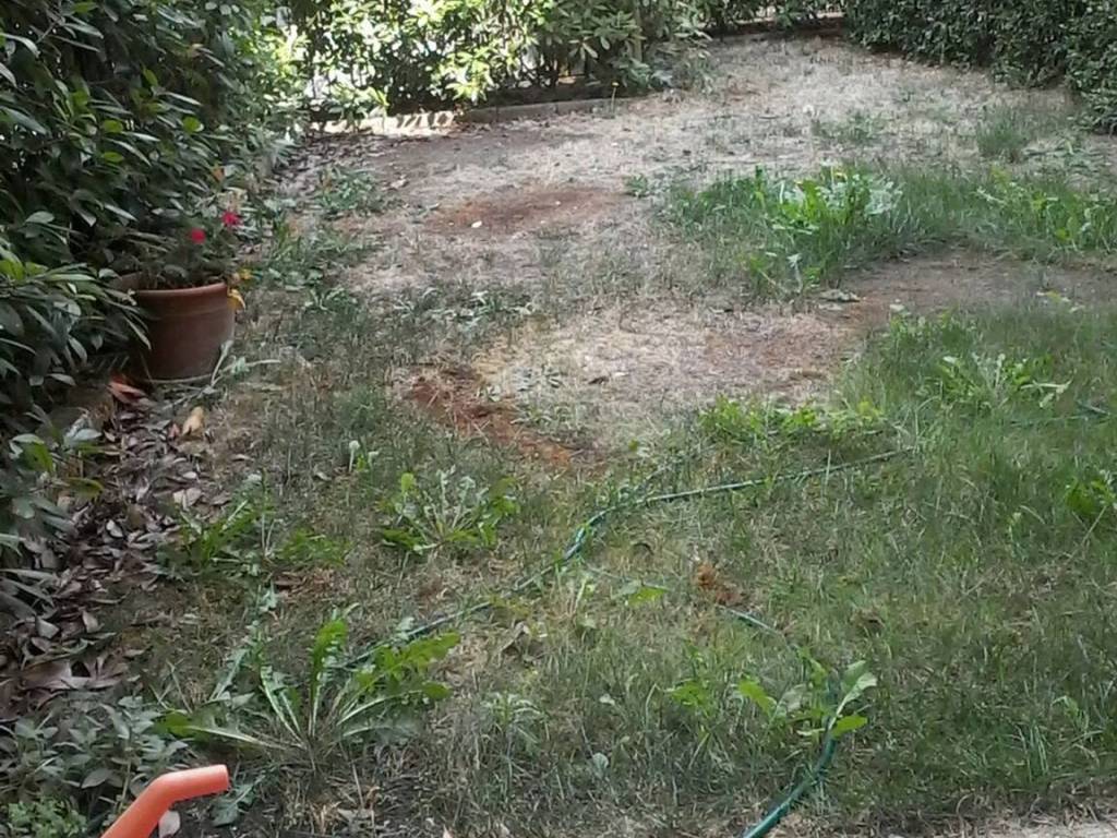 Villa a Minerbe - Foto 2