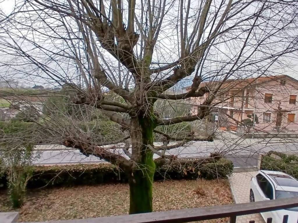 Villa a Massa e cozzile in Via Vetriano S.N.C. - Foto 2