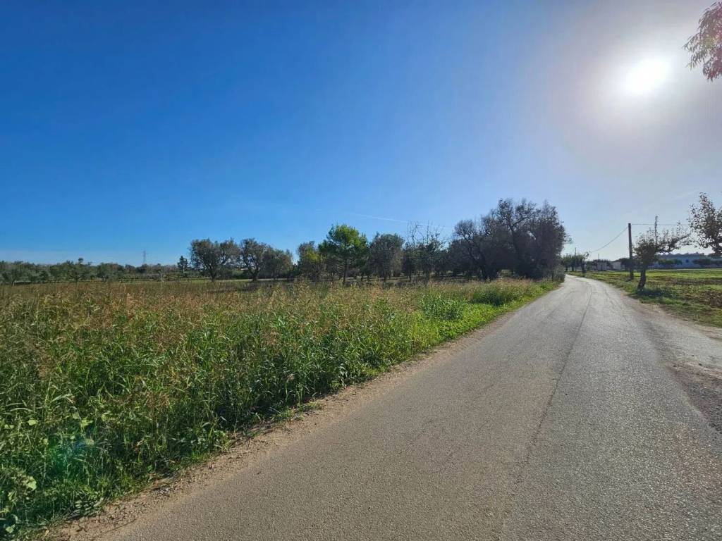 Terreno a Mesagne - Foto 4