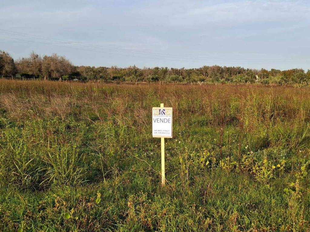 Terreno a Mesagne - Foto 5