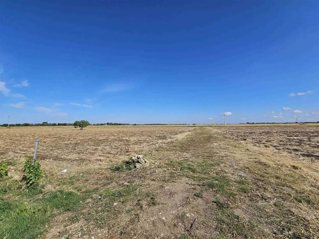 Terreno a Mesagne - Foto 3