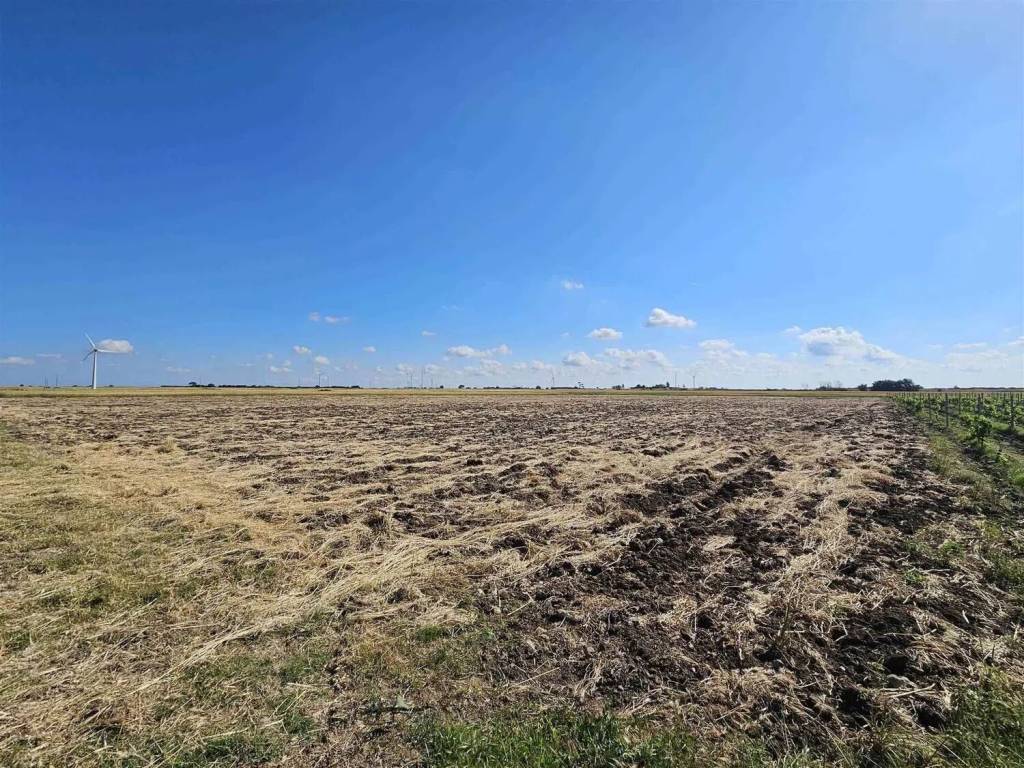 Terreno a Mesagne - Foto 4