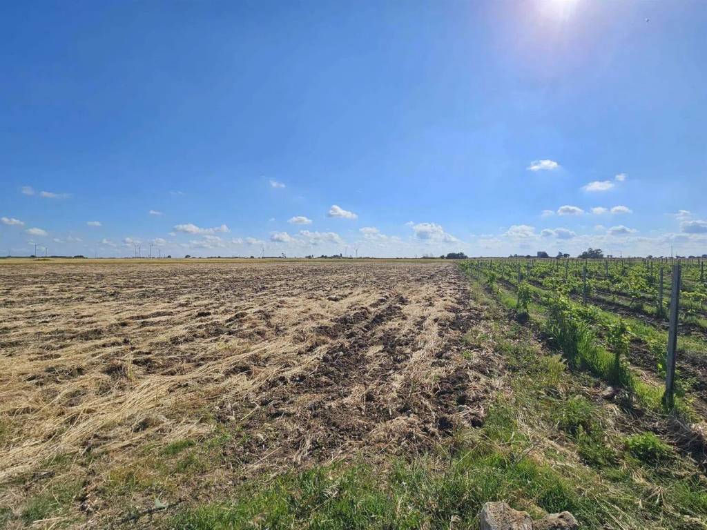 Terreno a Mesagne - Foto 5