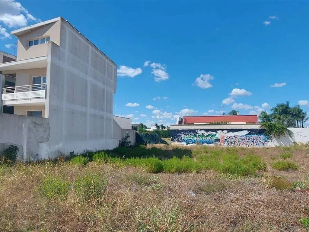 Terreno a Mesagne - Foto 3