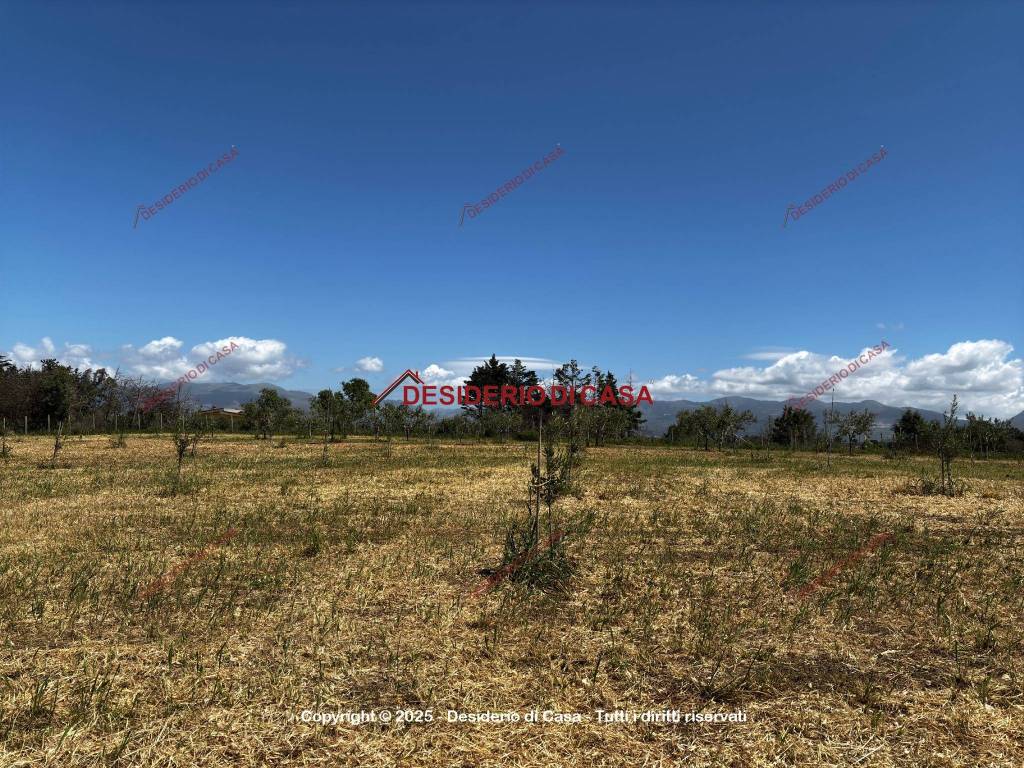 Terreno a Balestrate in SP17 - Foto 2