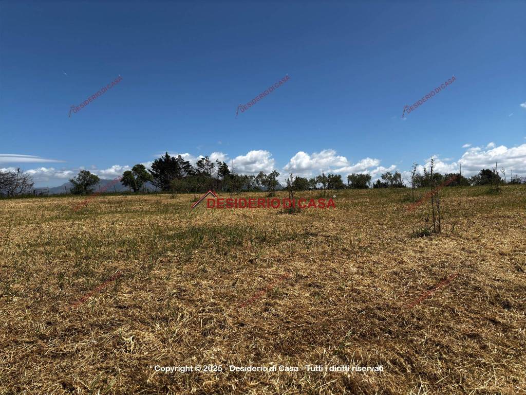 Terreno a Balestrate in SP17 - Foto 3