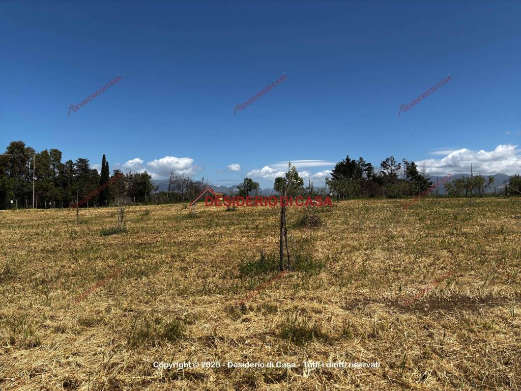 Terreno a Balestrate in SP17 - Foto 4