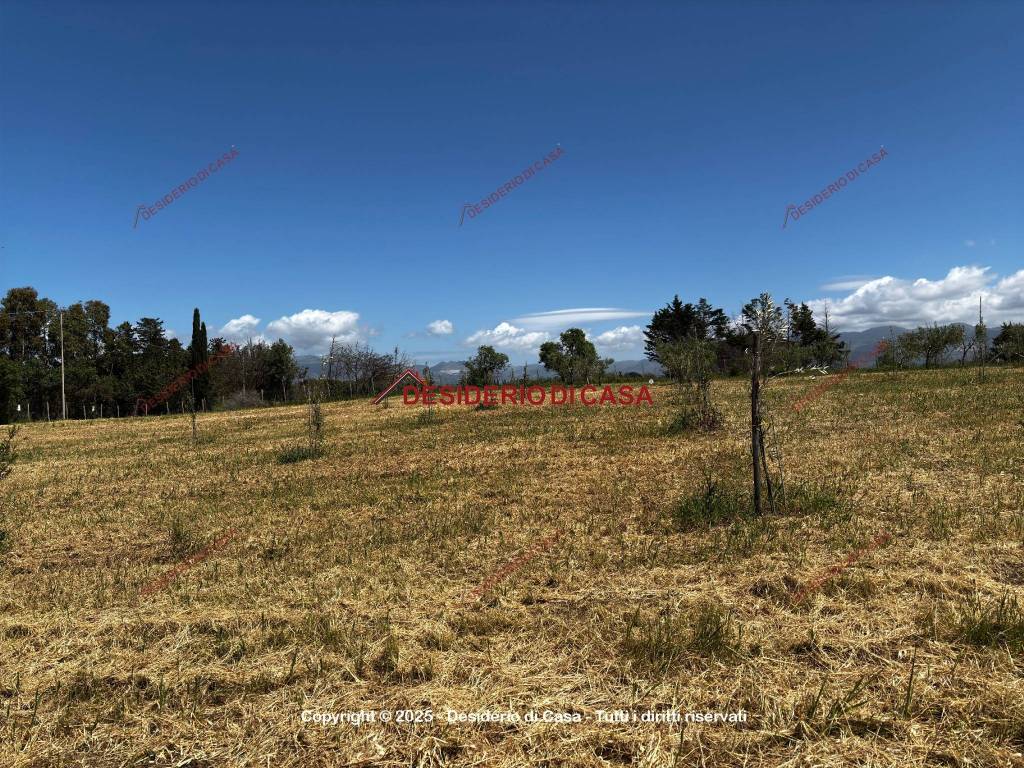 Terreno a Balestrate in SP17 - Foto 5