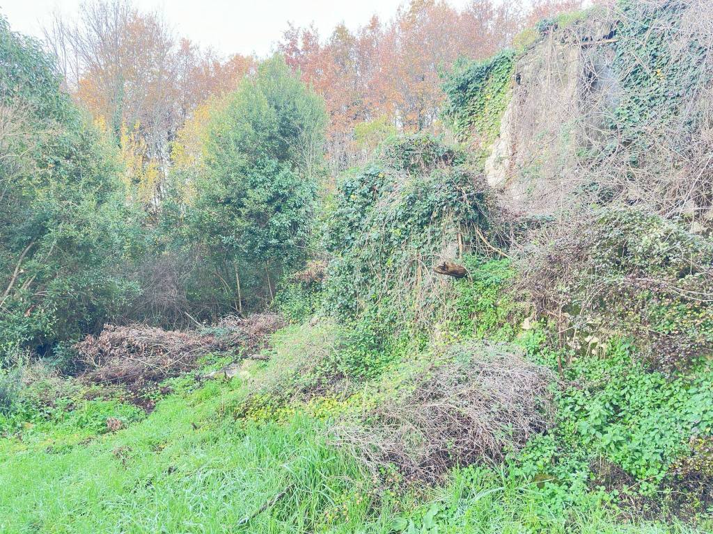 Terreno a Alvignano in Via Torri - Foto 4