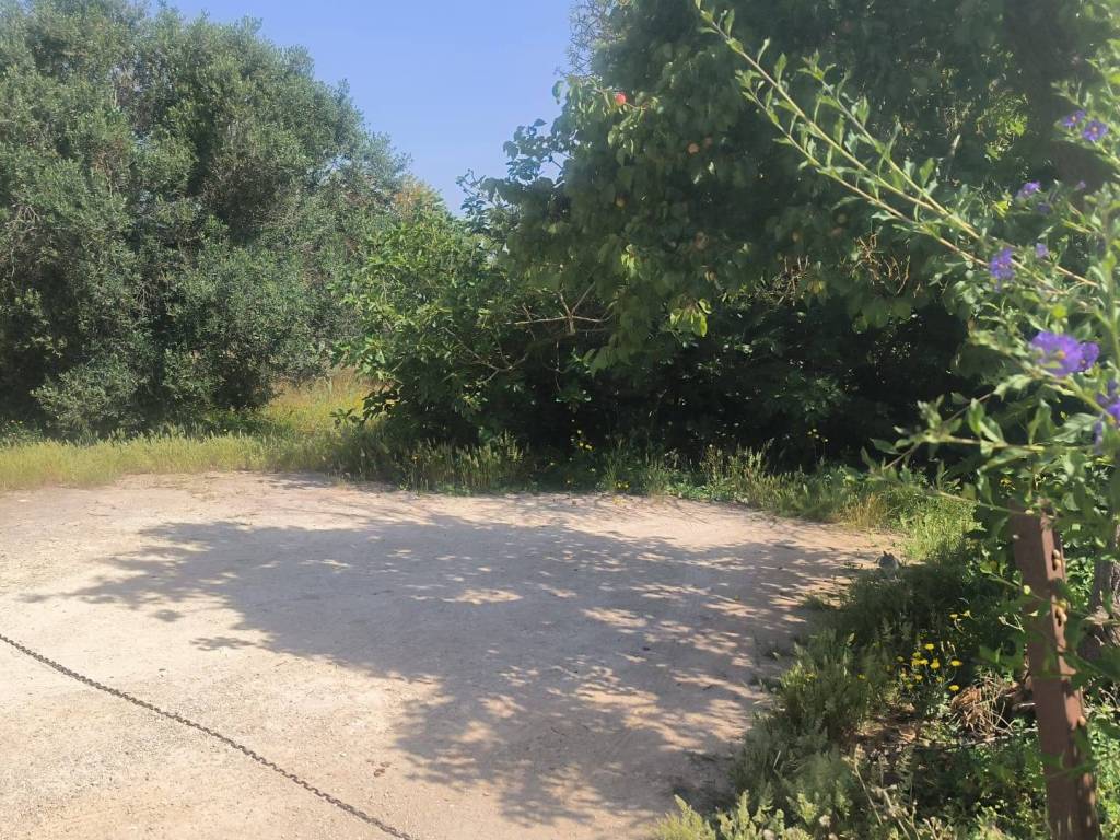 Terreno a Galatone in Via Giovanni XXIII - Foto 2