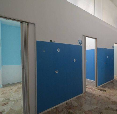 Immobile a Matera in Via Della Croce 31 - Foto 5