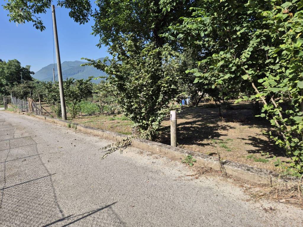 Terreno a Forino in Via Giuseppe Mazzini, 14 - Foto 2