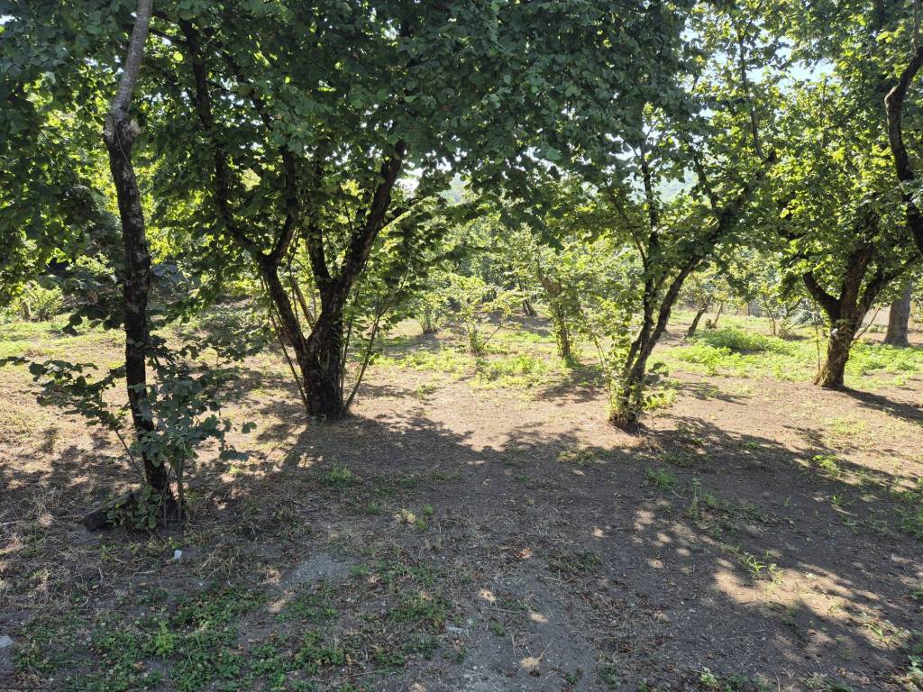 Terreno a Forino in Via Giuseppe Mazzini, 14 - Foto 4