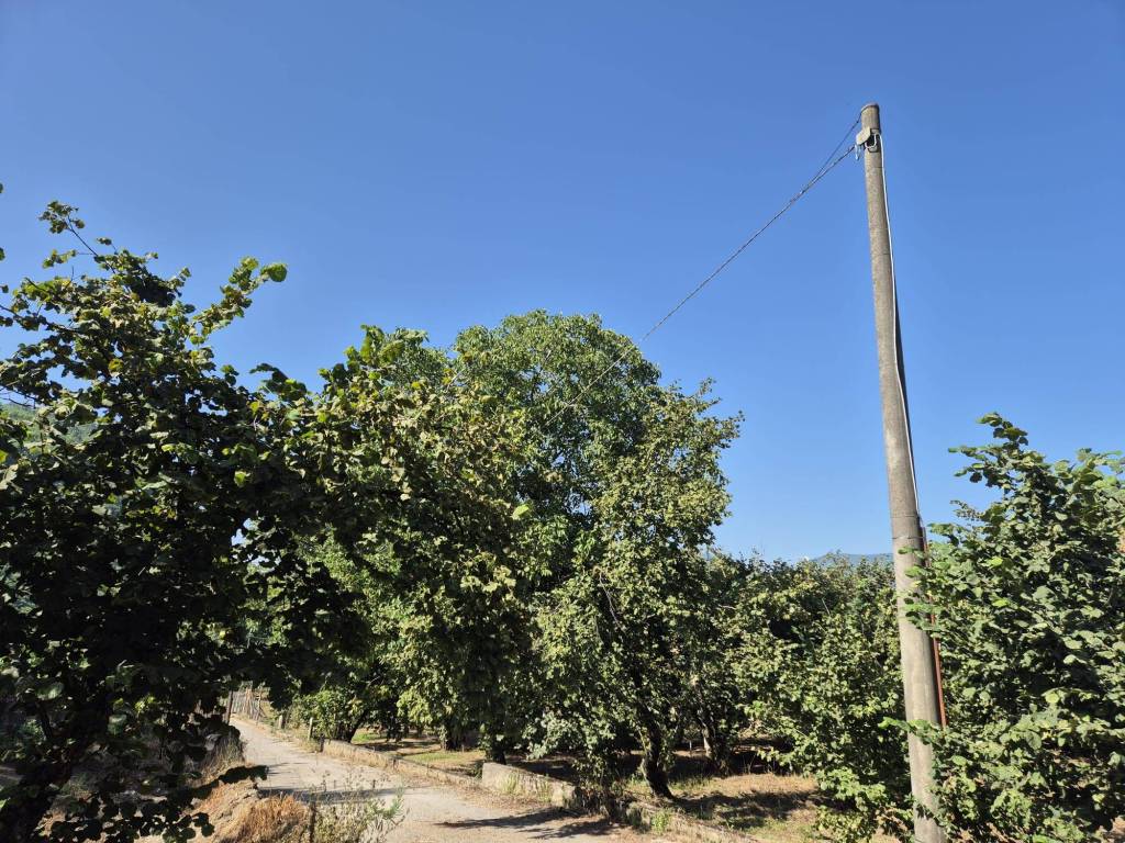Terreno a Forino in Via Giuseppe Mazzini, 14 - Foto 5