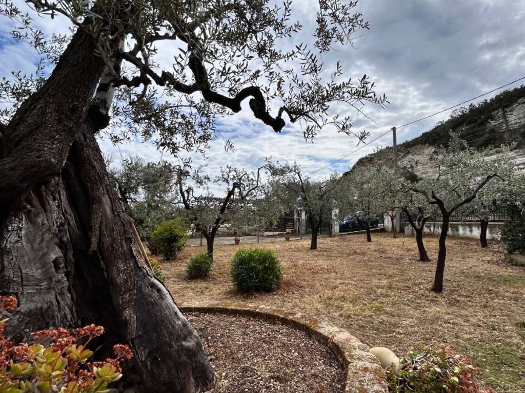 Villa a Vieste in Via Reginella - Foto 3