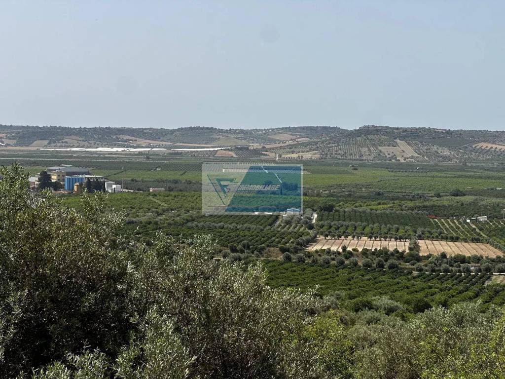 Terreno a Noto in CONTRADA SAN AGRIPPINA SACCOLLINO - Foto 2