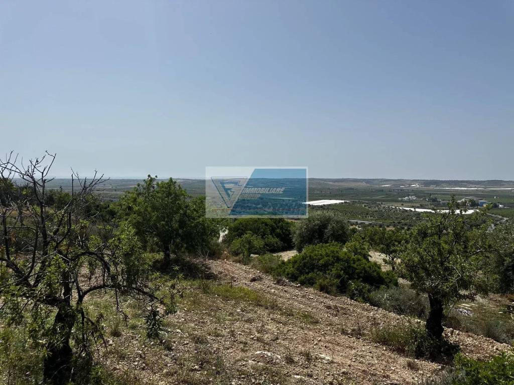 Terreno a Noto in CONTRADA SAN AGRIPPINA SACCOLLINO - Foto 3