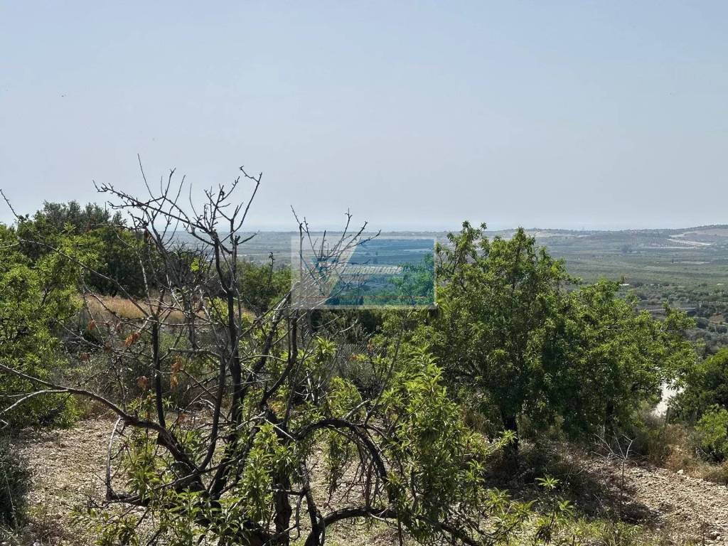 Terreno a Noto in CONTRADA SAN AGRIPPINA SACCOLLINO - Foto 4
