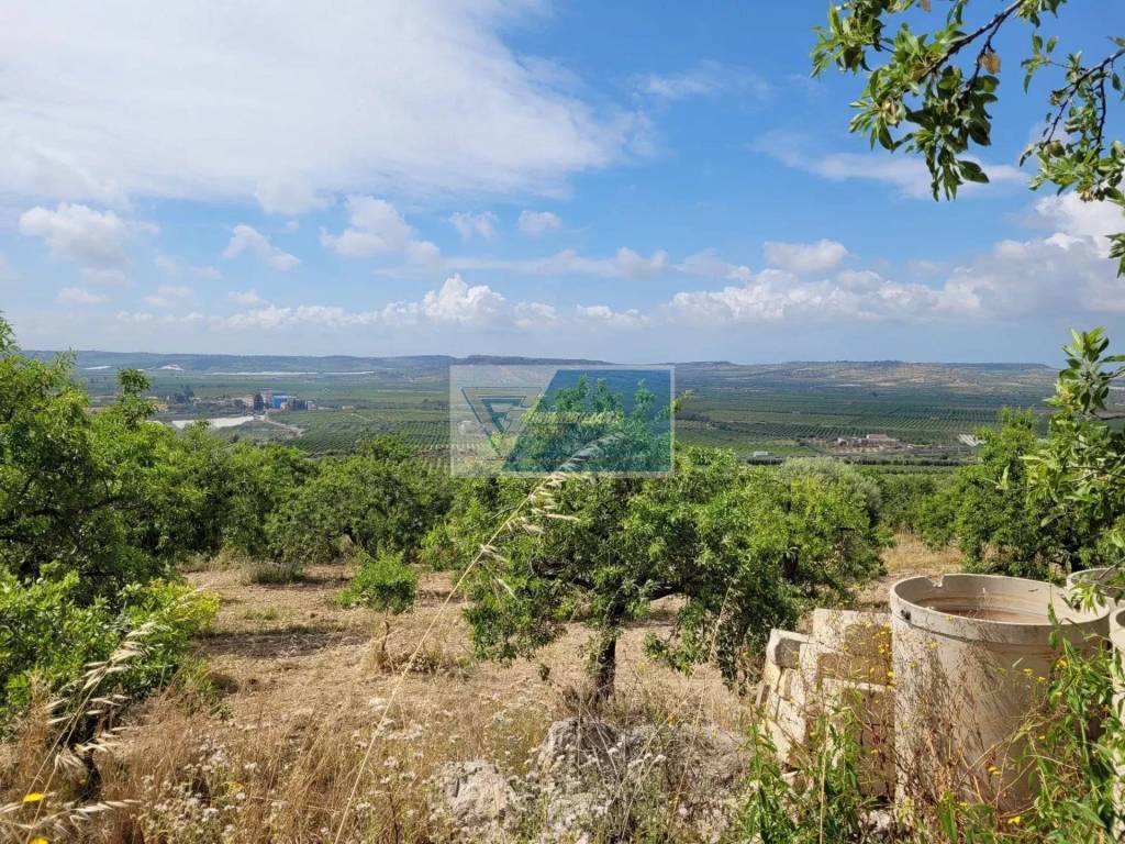 Terreno a Noto in CONTRADA SAN AGRIPPINA SACCOLLINO - Foto 5