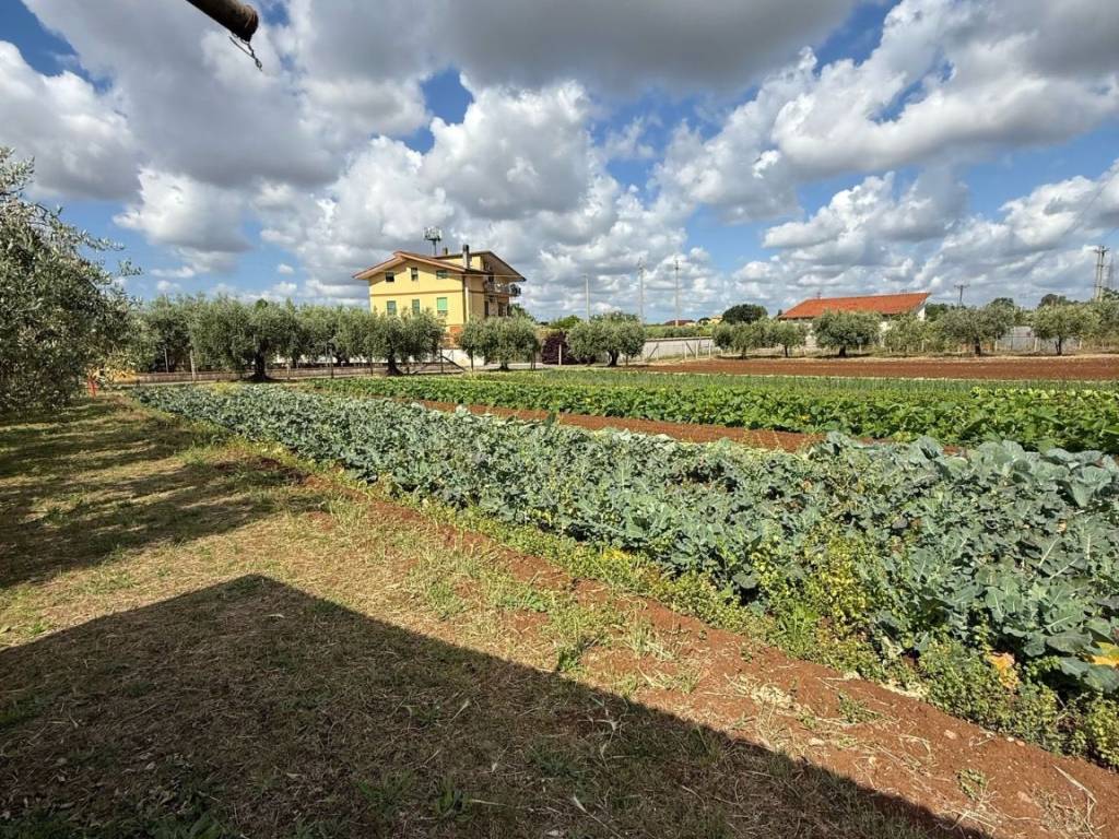 Terreno a Cisterna di latina in Via Aprilia - Foto 4