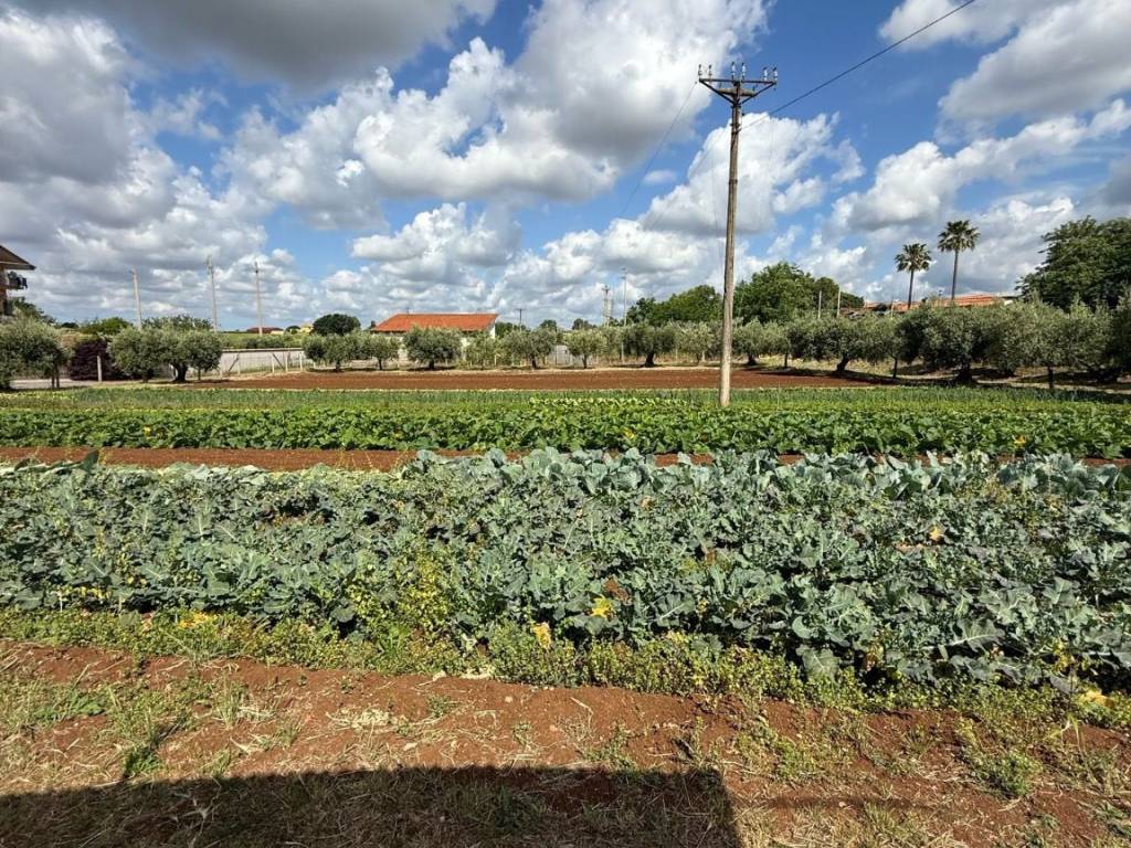 Terreno a Cisterna di latina in Via Aprilia - Foto 5