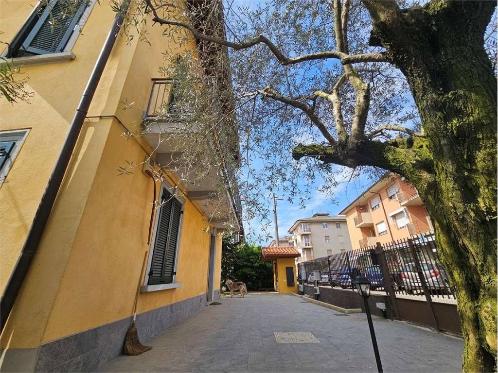 Villa a Appiano gentile in Via Mameli - Foto 3
