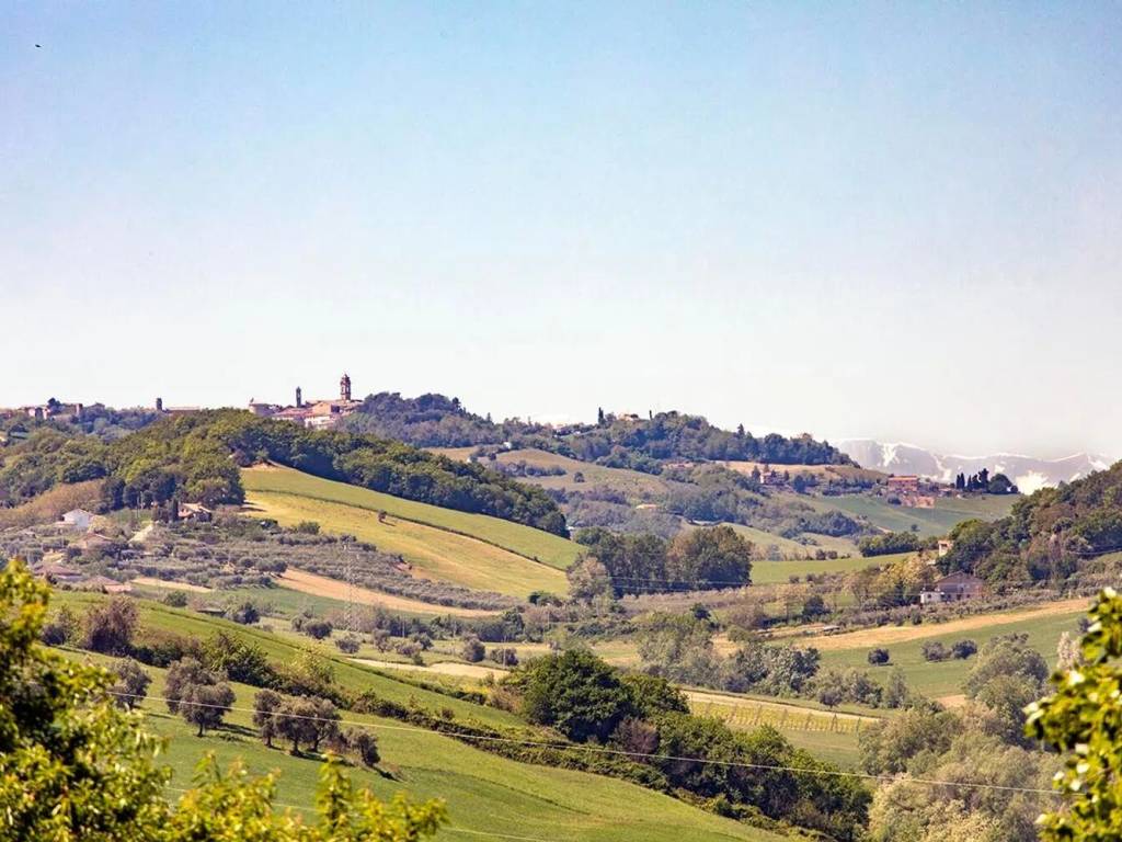 Rustico / casale a Fermo - Foto 3