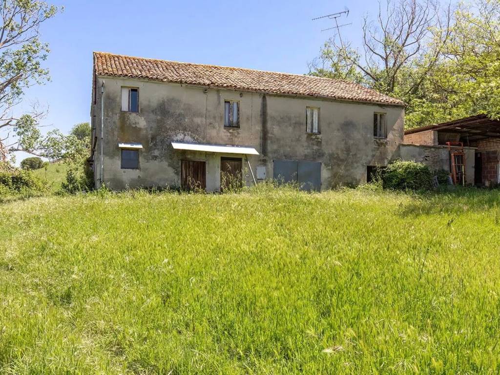 Rustico / casale a Fermo - Foto 4